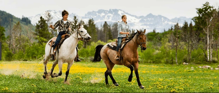 Confident plus-size woman riding Wolverhampton a horse through a field with a smile on her face.